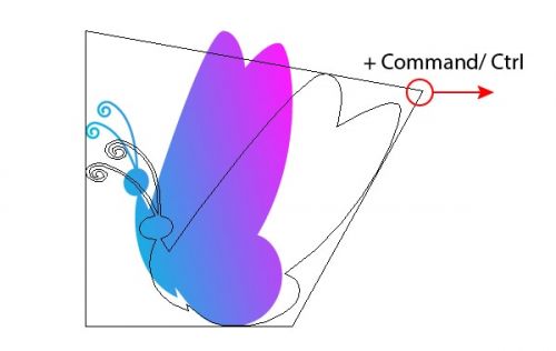 آموزش جابجایی و تکثیر اشکال در ایلوستریتور